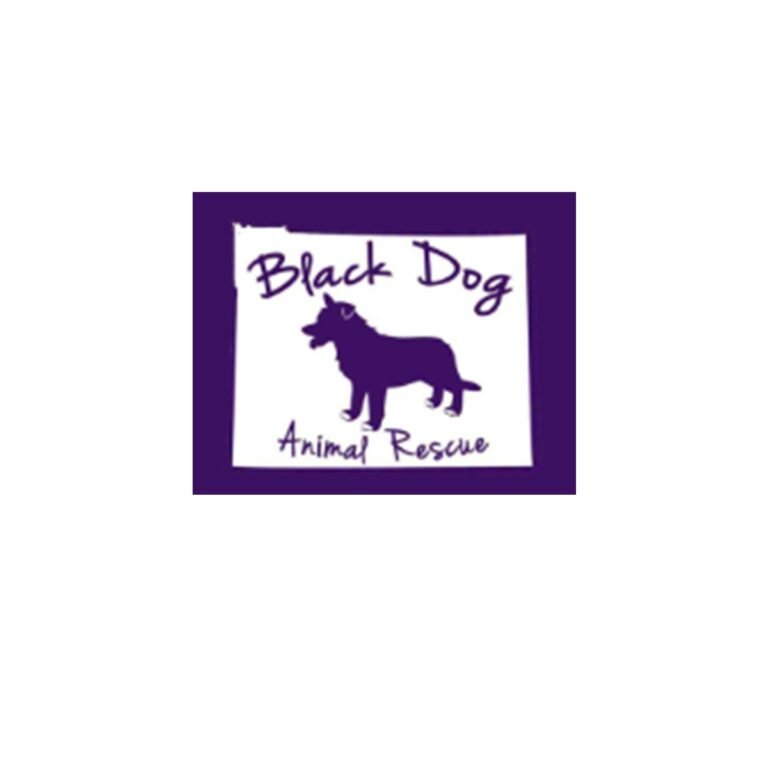 Black Dog Animal Rescue 768x768